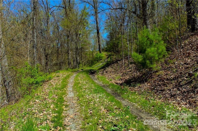 00 Seven Glens Dr Unit 171, Weaverville, NC 28787 - photo 1