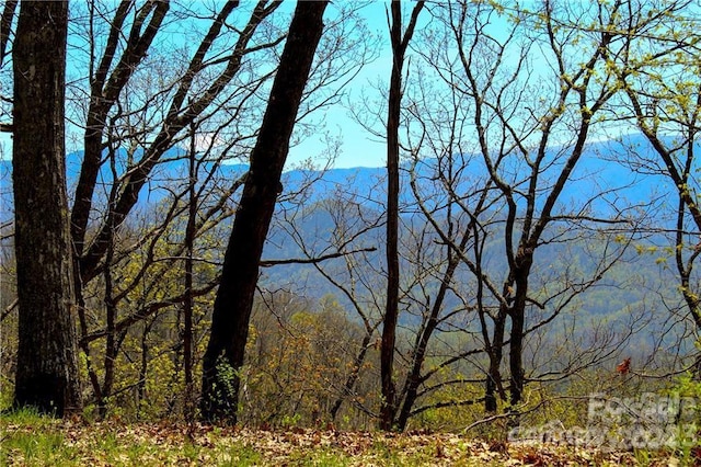 00 Seven Glens Dr Unit 171, Weaverville, NC 28787 - photo 2