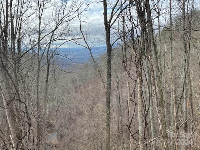 00 Seven Glens Dr Unit 171, Weaverville, NC 28787 - photo 3