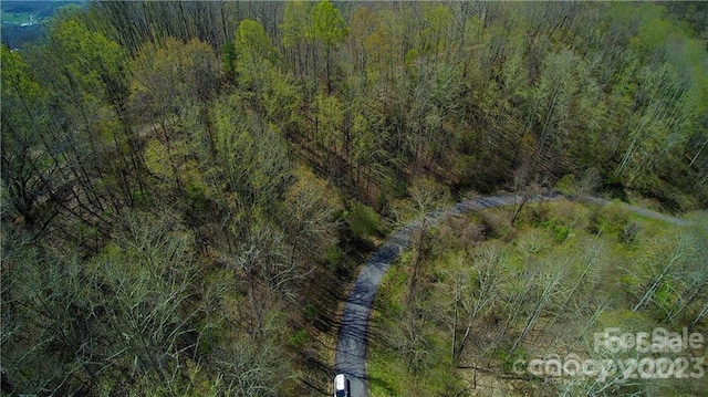 00 Seven Glens Dr Unit 171, Weaverville, NC 28787 - photo 4