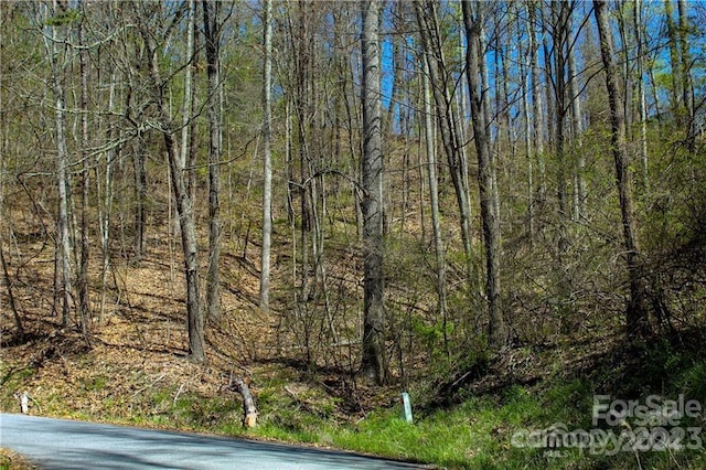 00 Seven Glens Dr Unit 171, Weaverville, NC 28787 - photo 6