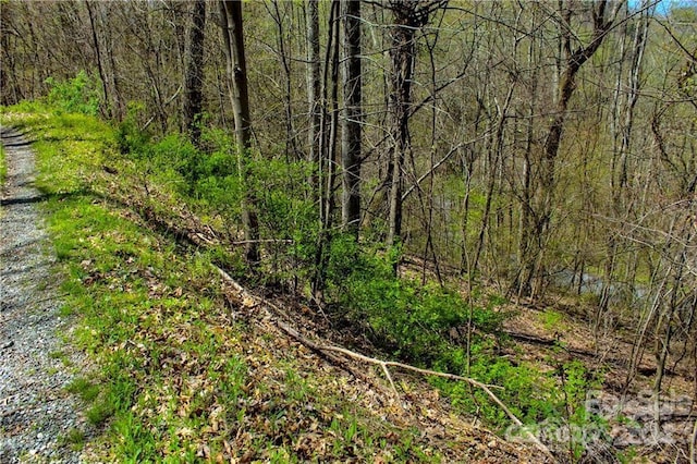 00 Seven Glens Dr Unit 171, Weaverville, NC 28787 - photo 7