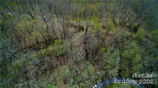 00 Seven Glens Dr Unit 171, Weaverville, NC 28787 - photo 9