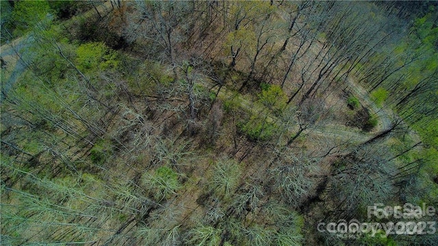 00 Seven Glens Dr Unit 171, Weaverville, NC 28787 - photo 10