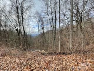 00 Seven Glens Dr Unit 171, Weaverville, NC 28787 - photo 11