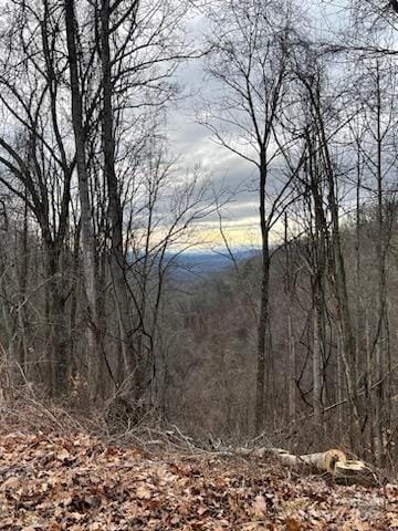 00 Seven Glens Dr Unit 171, Weaverville, NC 28787 - photo 13