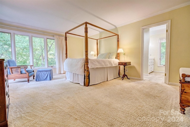 carpeted bedroom featuring crown molding