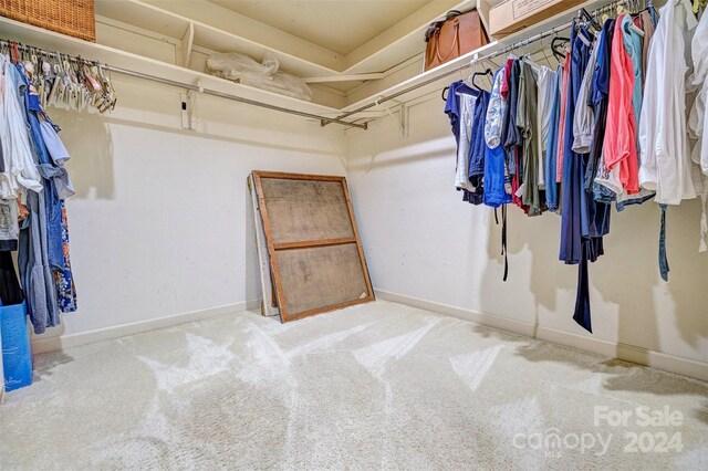 walk in closet with light carpet