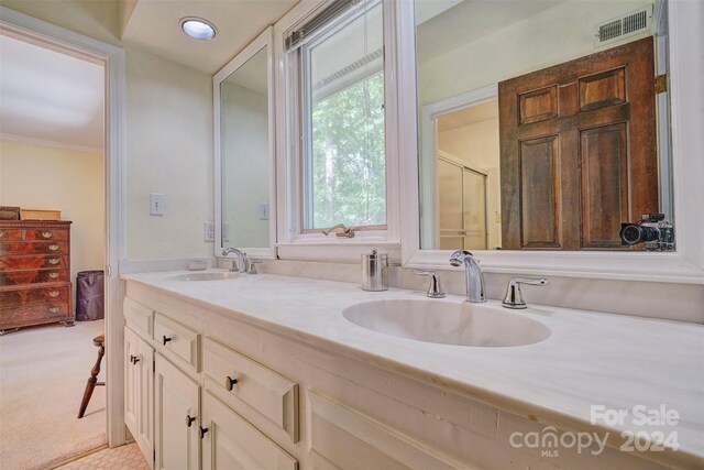 bathroom featuring vanity and walk in shower