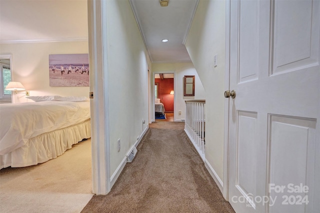 hallway with crown molding and carpet flooring