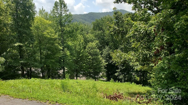 118 Fisher Ct, Lake Lure NC, 28746 land for sale