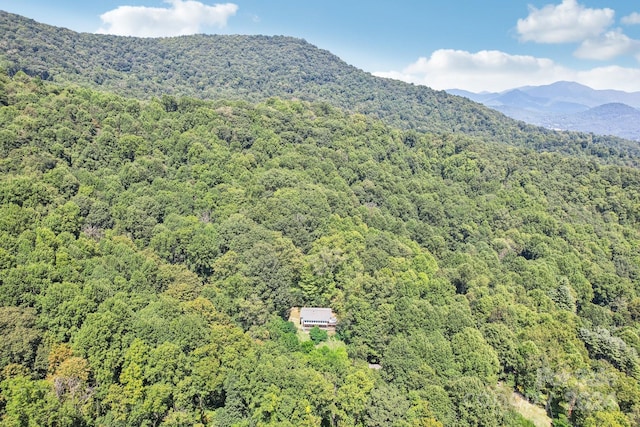 property view of mountains