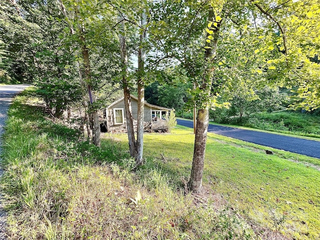 view of front facade with a front lawn