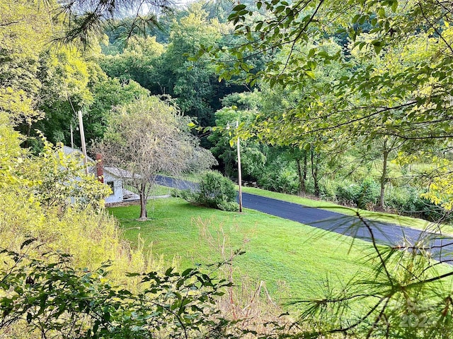 851 Lower Shut In Rd, Hot Springs, NC 28743 - view of grassy yard featuring a wooded view