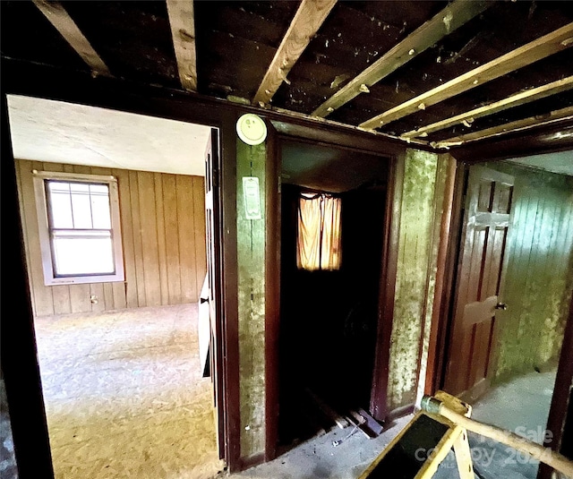 851 Lower Shut In Rd, Hot Springs, NC 28743 - misc room featuring wood walls