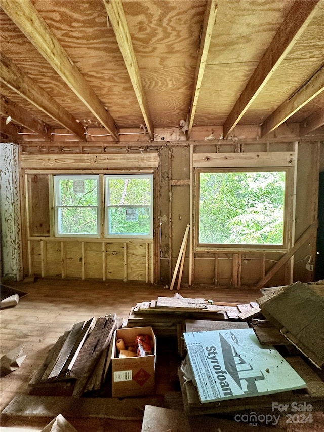 miscellaneous room with plenty of natural light