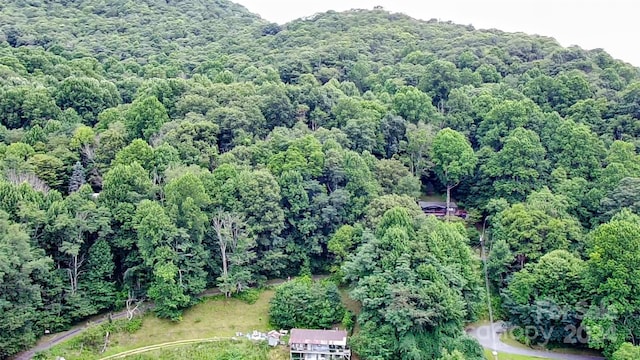 00 Friendly Acres Dr, Waynesville NC, 28786 land for sale