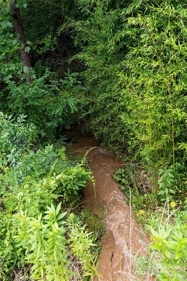 view of local wilderness