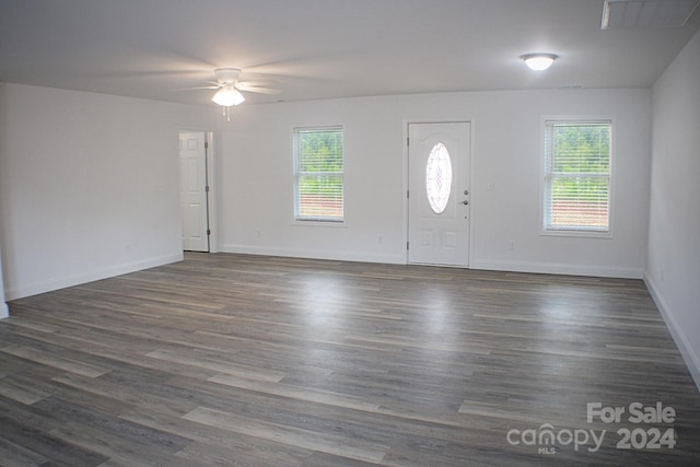 foyer entrance featuring plenty of natural light, ceiling fan, and hardwood / wood-style floors