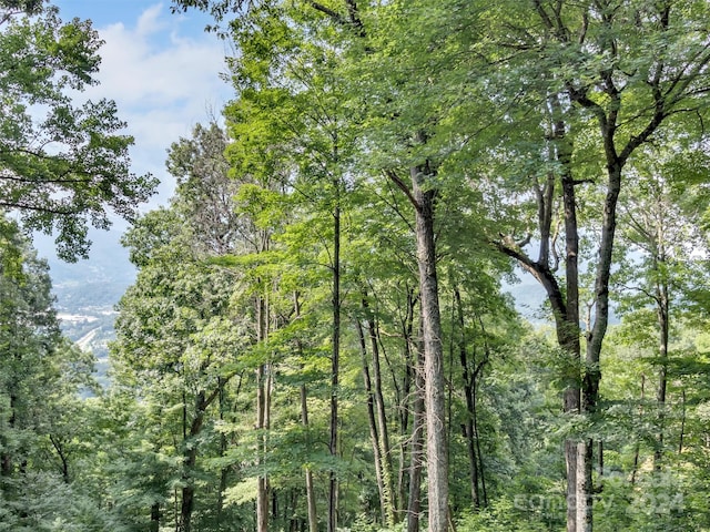 view of landscape