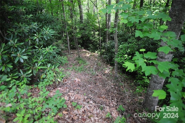 Listing photo 3 for 17 Wood Haven Ln Unit 111, Black Mountain NC 28711