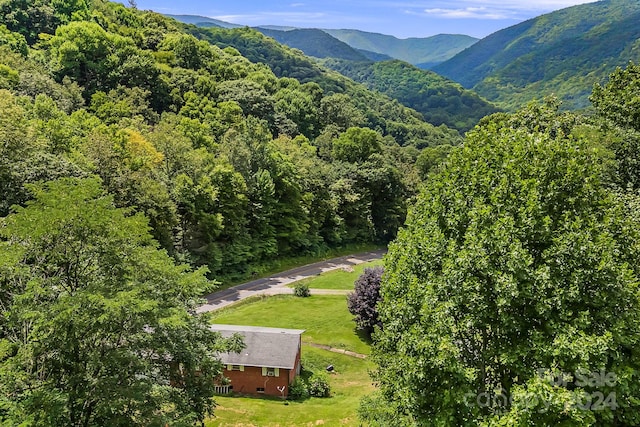 view of mountain feature