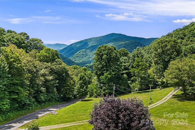 view of mountain feature