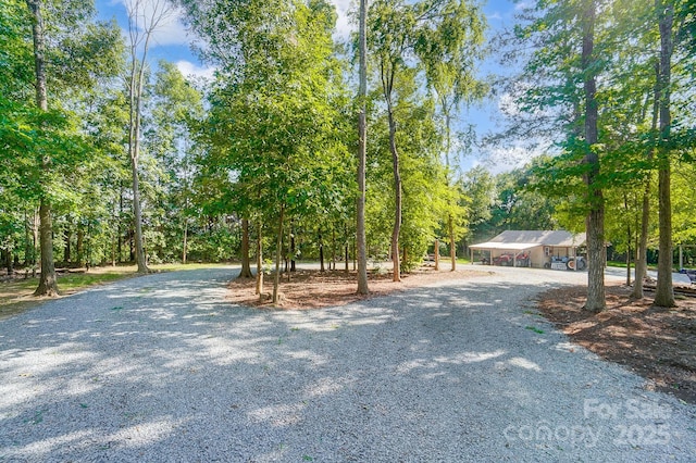 view of road with driveway