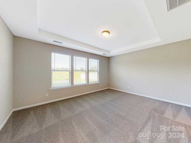 empty room featuring carpet and a raised ceiling