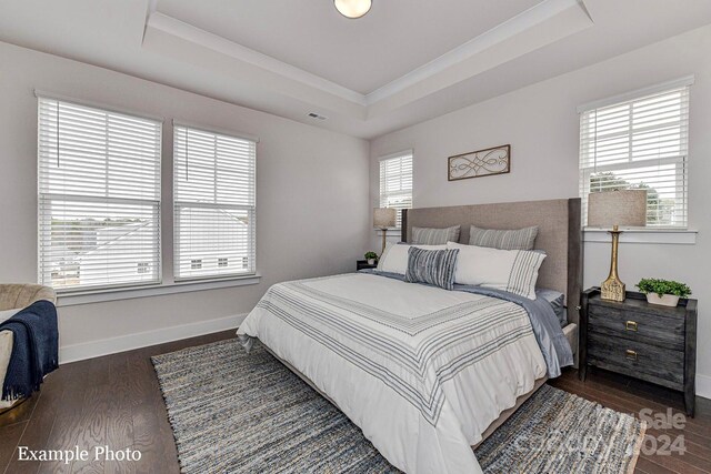 bedroom featuring dark wood-type flooring, a raised ceiling, visible vents, and baseboards