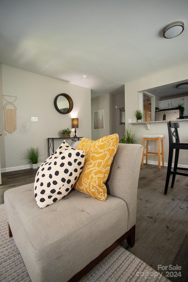 living room featuring hardwood / wood-style floors