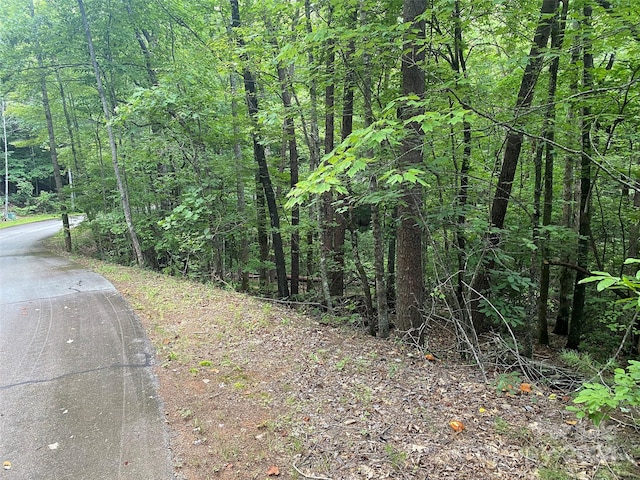 Listing photo 2 for 0 Raleigh Dr Lot 6, Lake Lure NC 28746