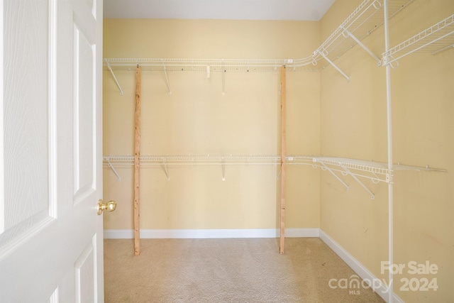 spacious closet with carpet