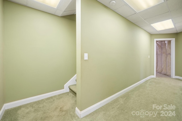 basement featuring a drop ceiling, carpet flooring, and baseboards