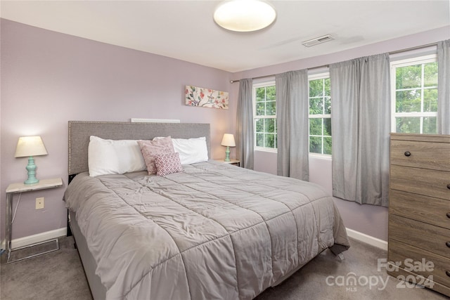 bedroom featuring carpet flooring