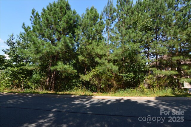 2033 Beauhaven Ln Unit 22, Belmont, NC 28012 - photo 7