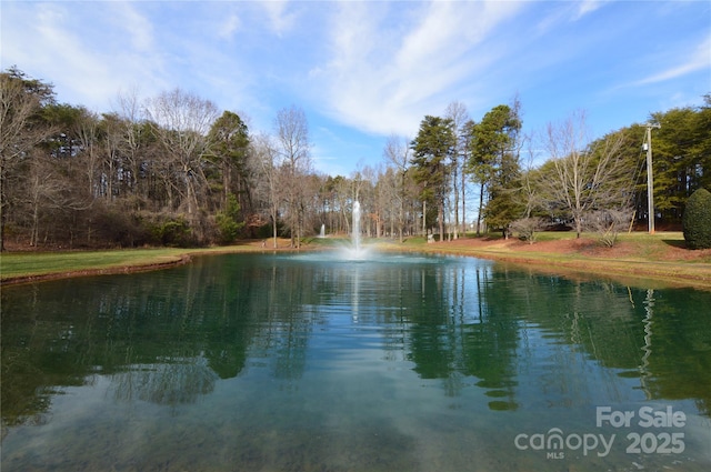 2033 Beauhaven Ln Unit 22, Belmont, NC 28012 - photo 35