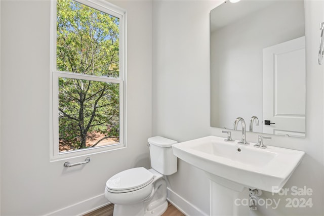 bathroom featuring hardwood / wood-style floors and toilet