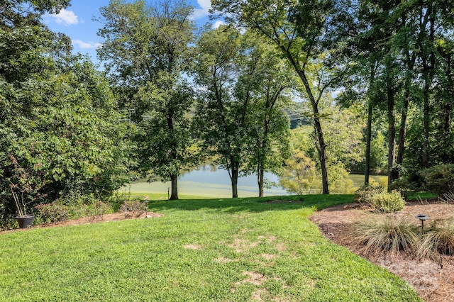 view of yard with a water view