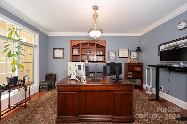 office area featuring crown molding and dark hardwood / wood-style floors