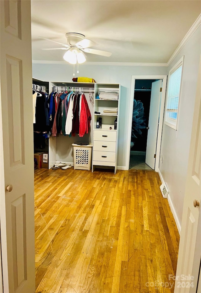 interior space featuring light hardwood / wood-style flooring, ceiling fan, and ornamental molding