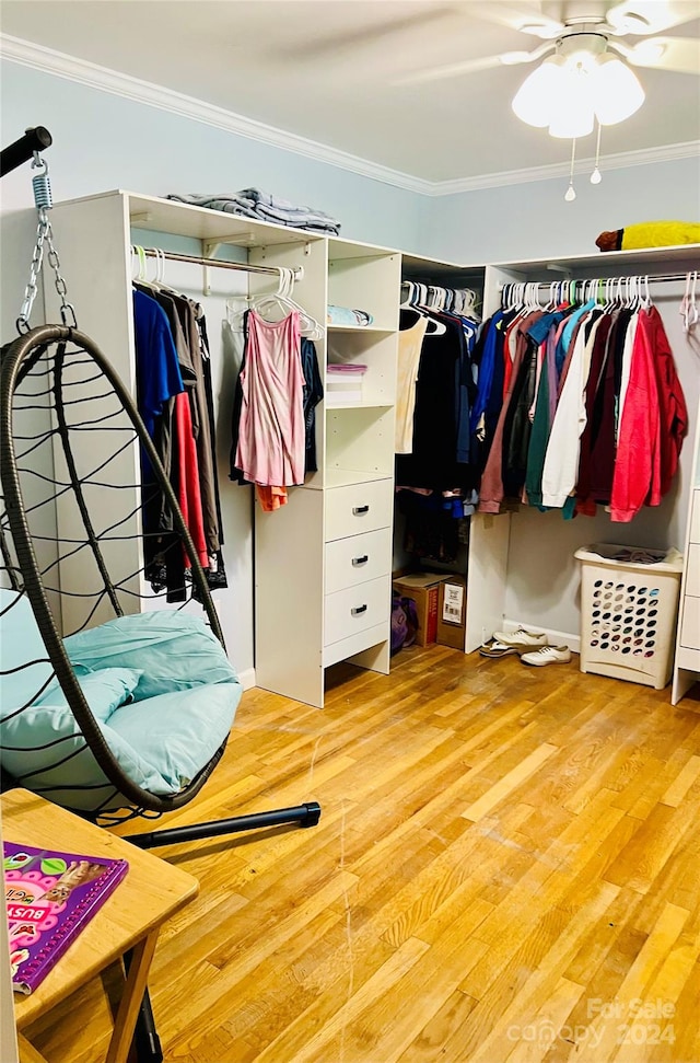 spacious closet with light hardwood / wood-style flooring and ceiling fan