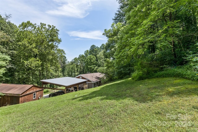 view of yard with an outbuilding