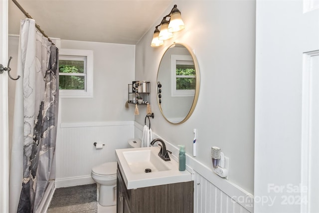 bathroom with toilet and vanity