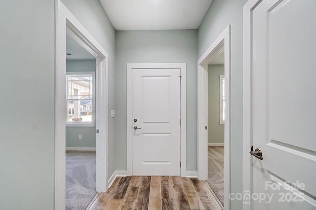 interior space featuring light hardwood / wood-style floors