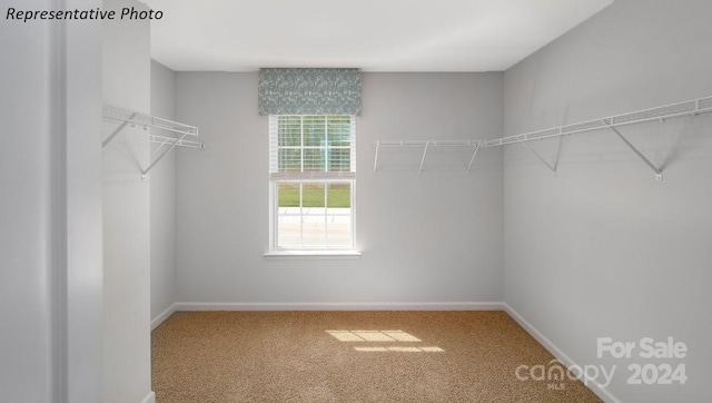 walk in closet with carpet flooring