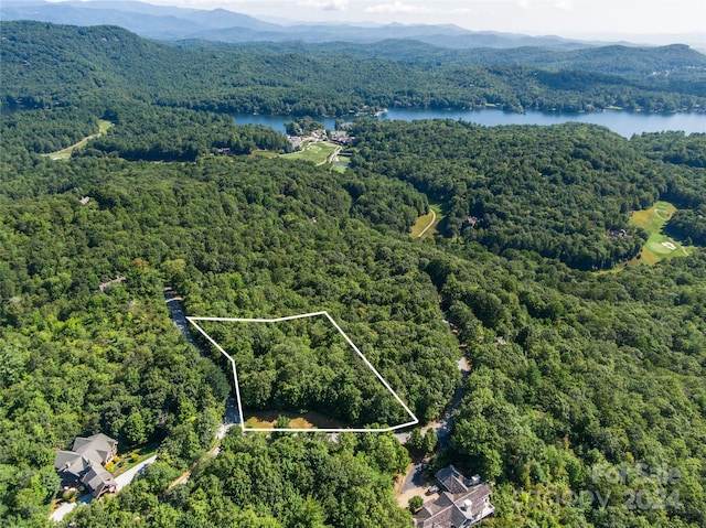 0 Toxaway Ct, Lake Toxaway NC, 28747 land for sale