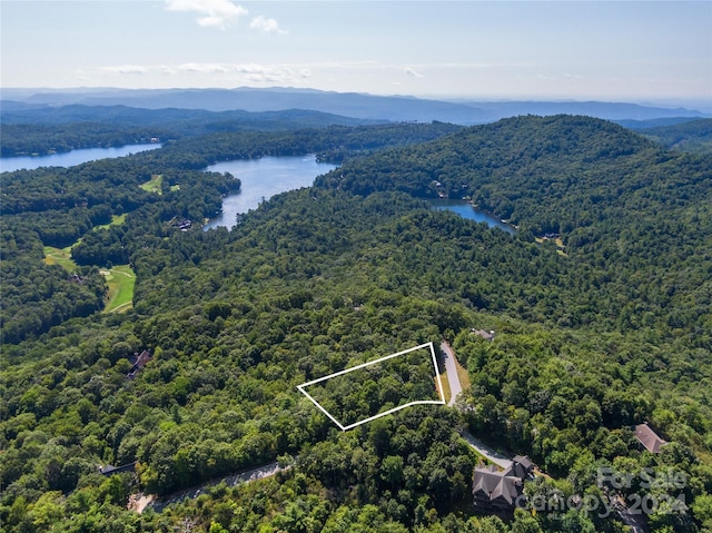 Listing photo 3 for 0 Toxaway Ct, Lake Toxaway NC 28747