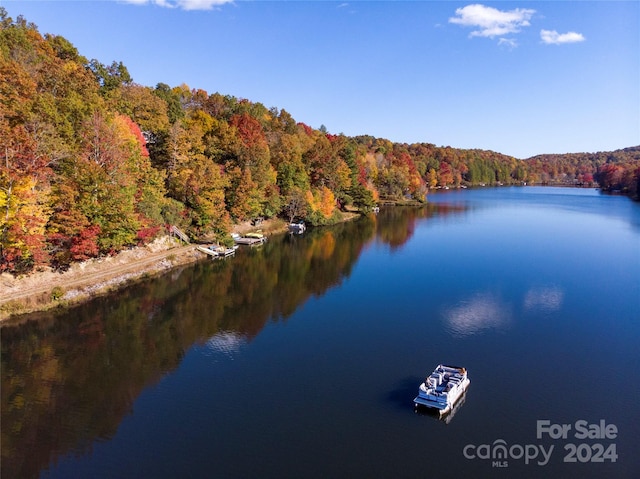 property view of water