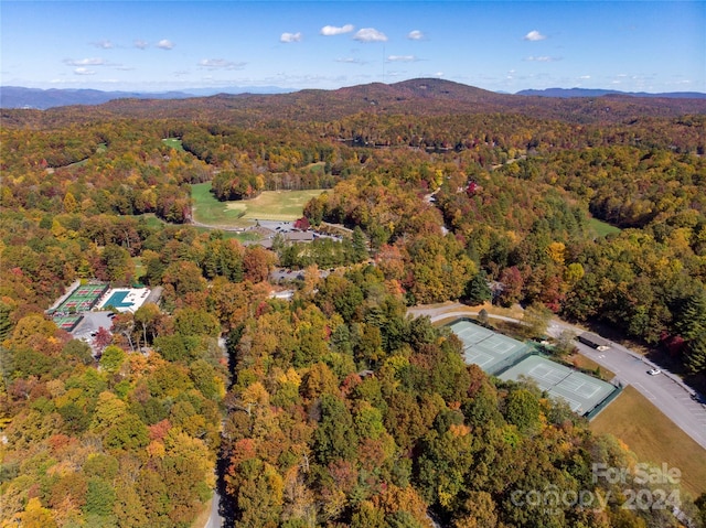 drone / aerial view with a mountain view